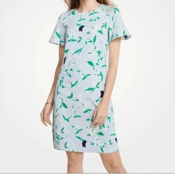 Ann Taylor Multicolor Floral Jewel Neck Flutter Sleeve Dress Size 2 - Picture 1 of 9